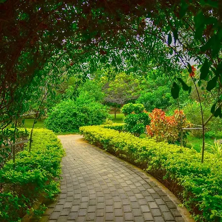 Lake Villa Resort-2